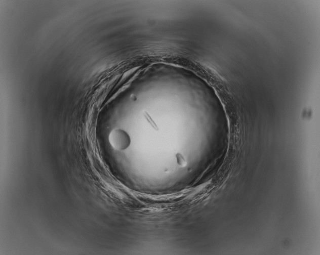 X0000090600917200707311158