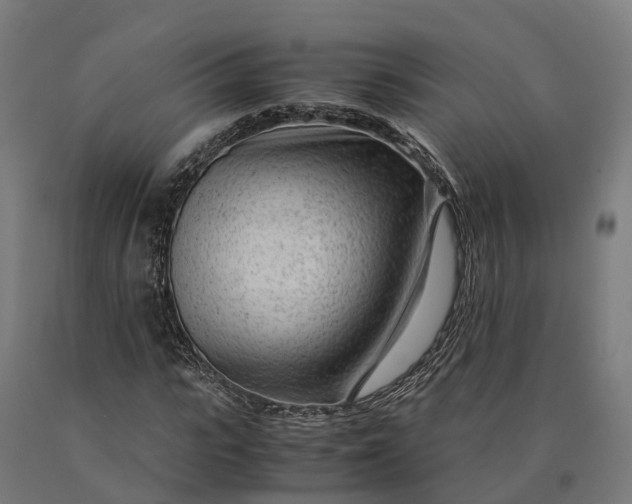 X0000090600919200707311158