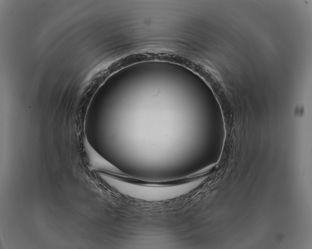 X0000090600920200707311158