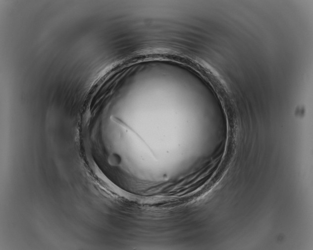 X0000090600921200707311158