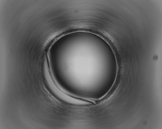 X0000090600922200707311158