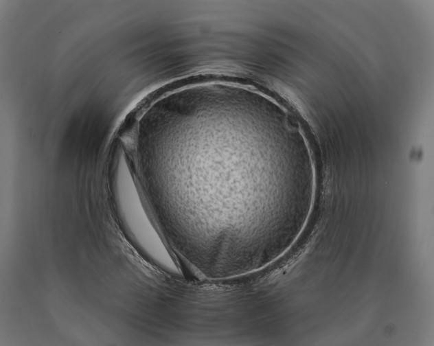 X0000090600923200707311158