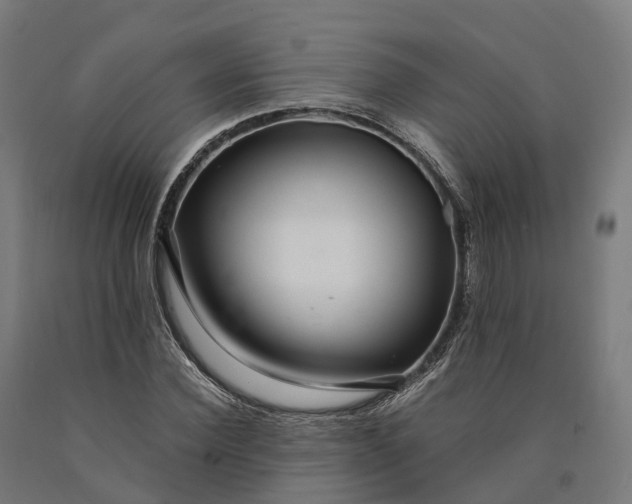 X0000090600924200707311158