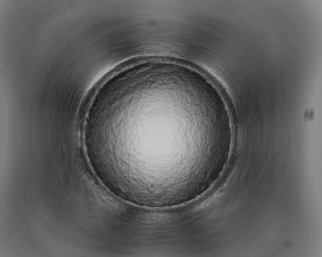 X0000090600925200707311158