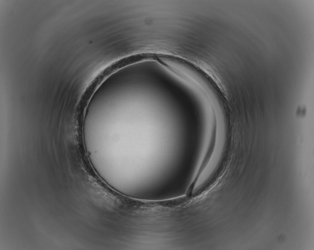 X0000090600926200707311158