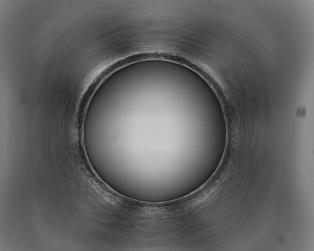 X0000090600927200707311158