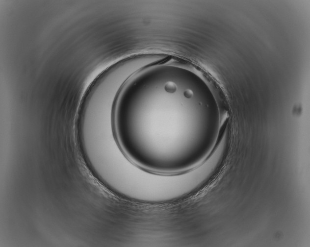 X0000090600928200707311158