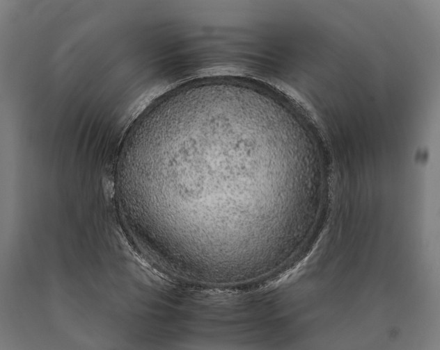 X0000090600929200707311158