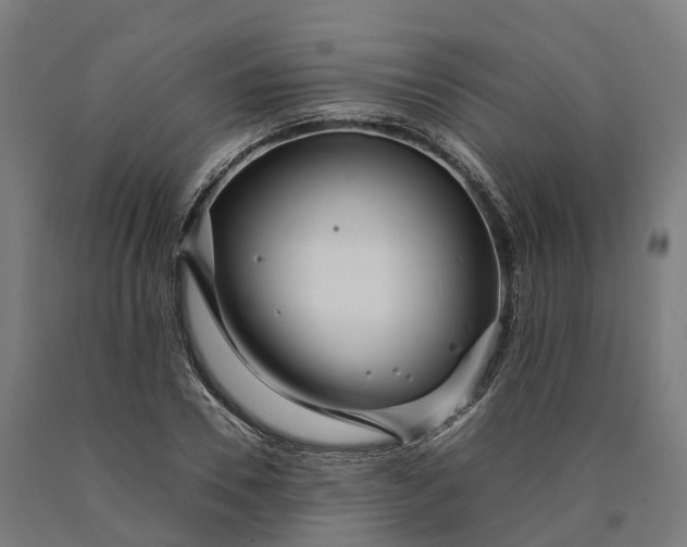 X0000090600930200707311158