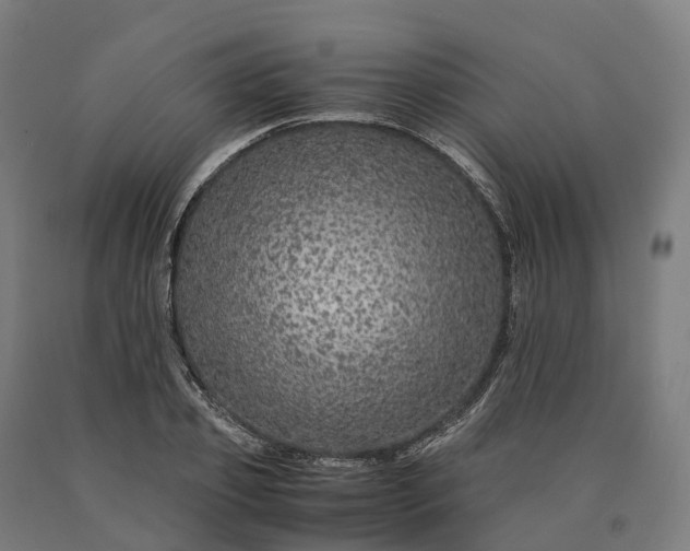 X0000090600933200707311158