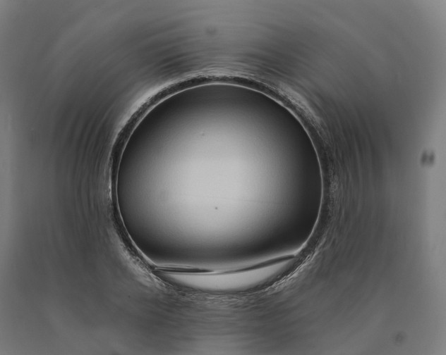 X0000090600934200707311158