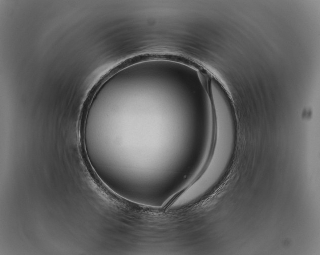 X0000090600935200707311158