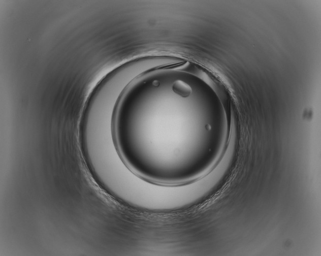 X0000090600936200707311158