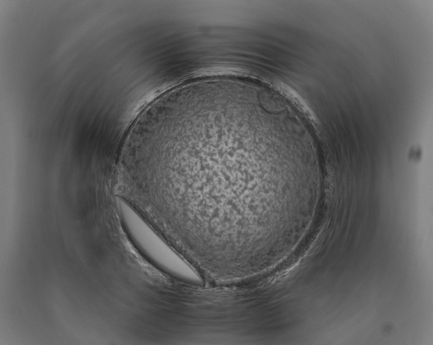 X0000090600937200707311158