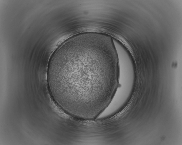 X0000090600938200707311158