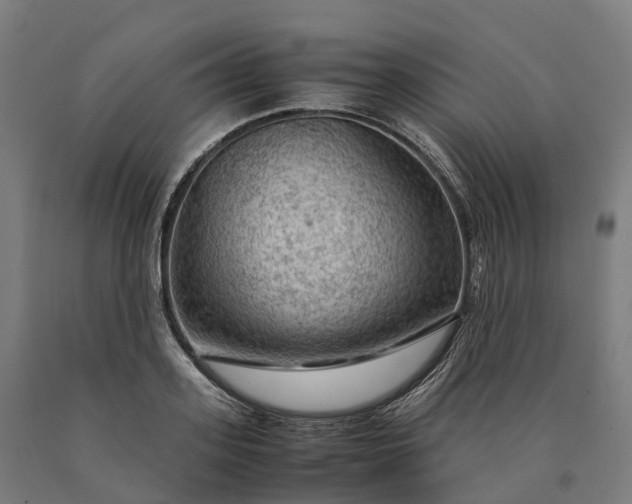 X0000090600939200707311158