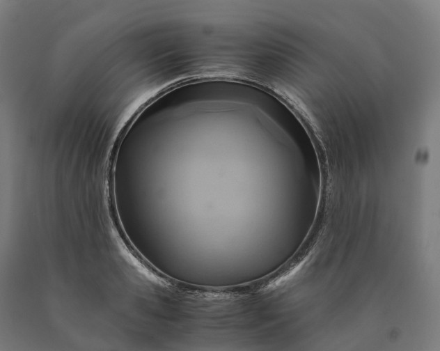 X0000090600941200707311158