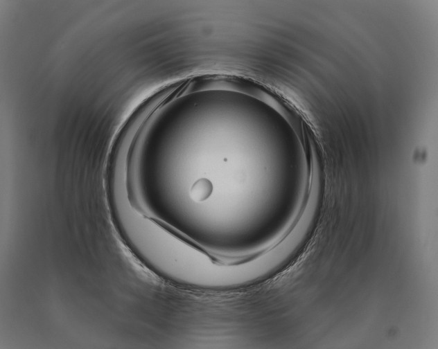 X0000090600942200707311158