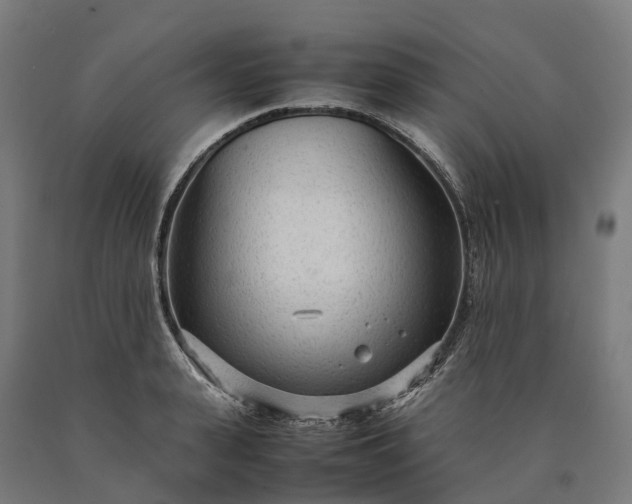 X0000090600943200707311158