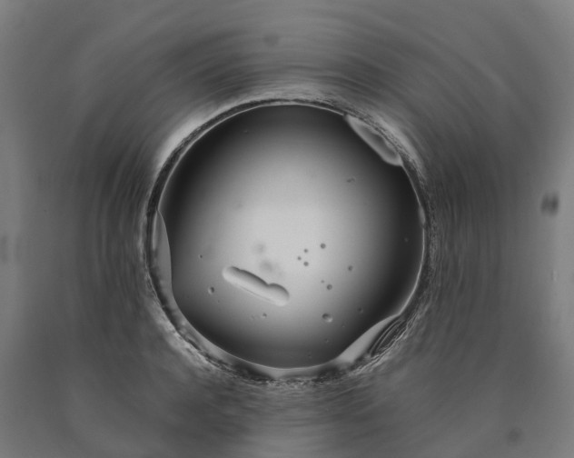 X0000090600944200707311159