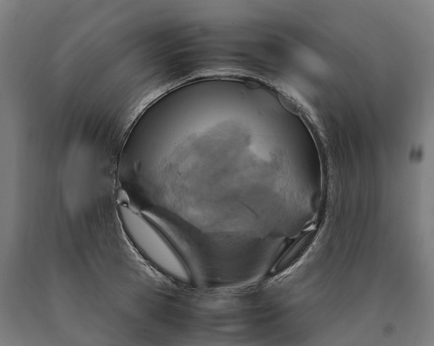 X0000090600945200707311159