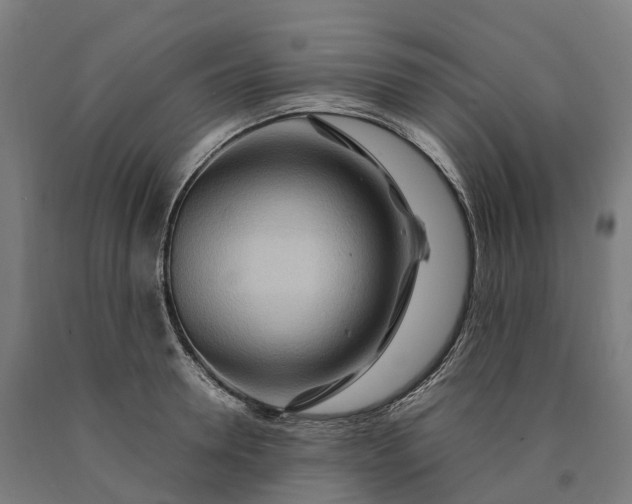 X0000090600946200707311159