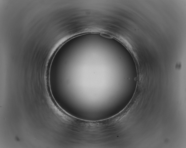 X0000090600947200707311159