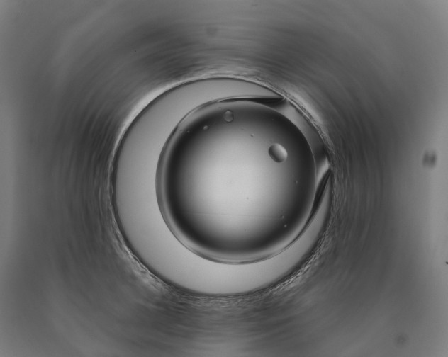 X0000090600948200707311159