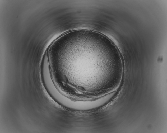 X0000090600949200707311159