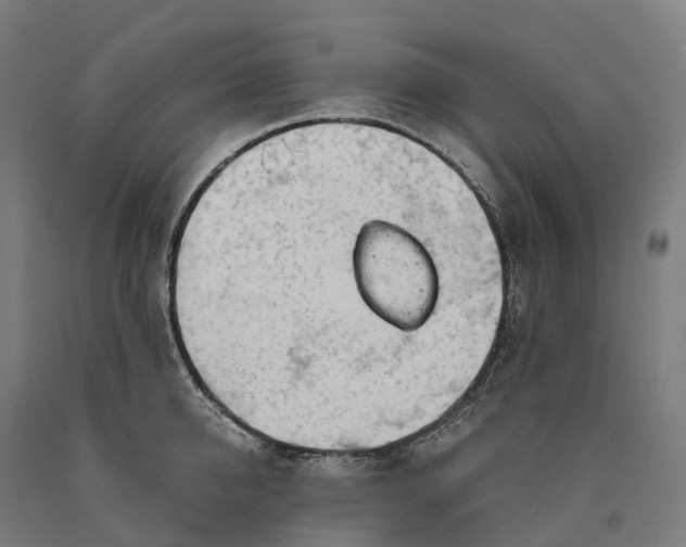 X0000090600950200707311159