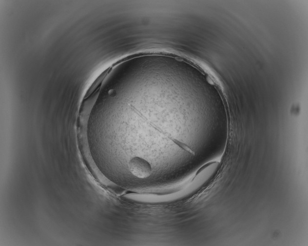 X0000090600951200707311159