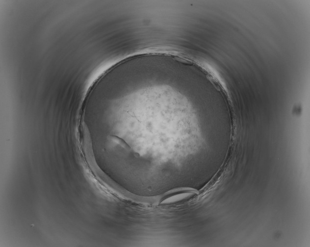 X0000090600952200707311159