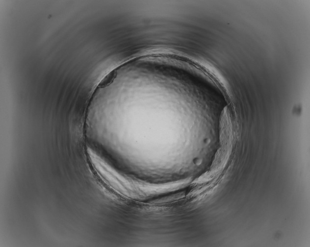 X0000090600953200707311159