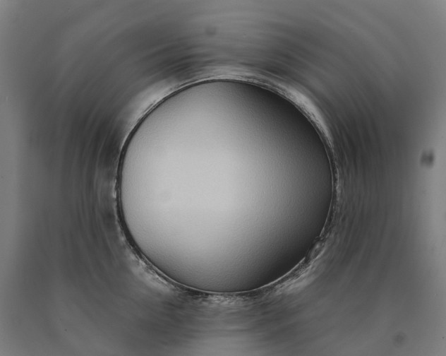 X0000090600954200707311159