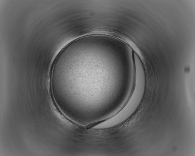 X0000090600955200707311159