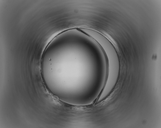 X0000090600956200707311159