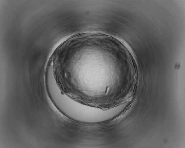 X0000090600957200707311159