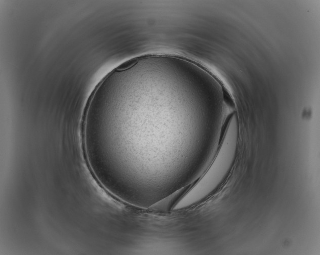 X0000090600959200707311159