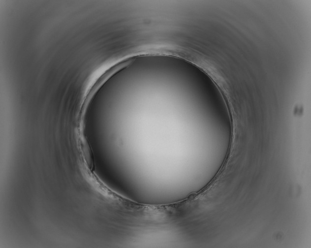 X0000090600960200707311159