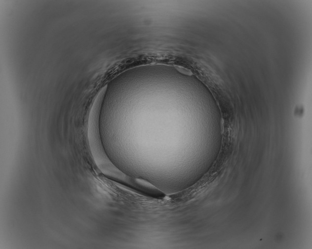 X0000090600961200707311158