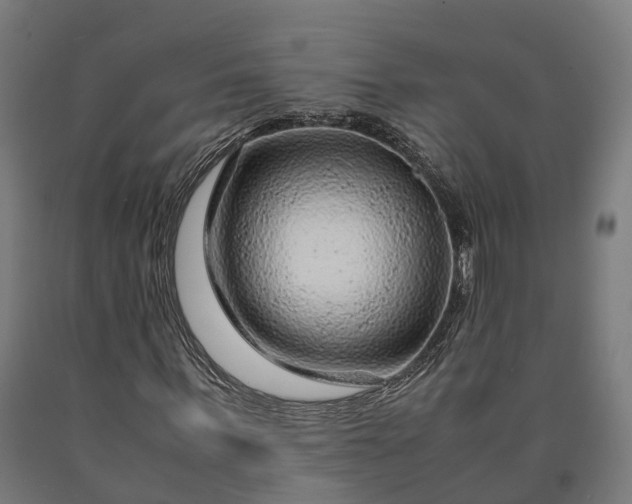 X0000090600963200707311158