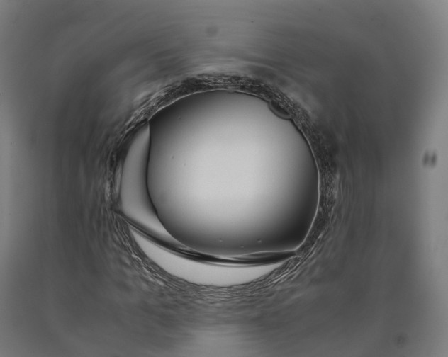 X0000090600965200707311158