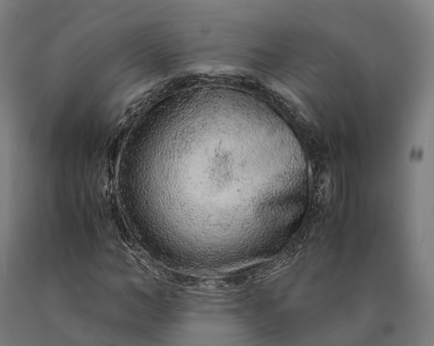 X0000090600966200707311158