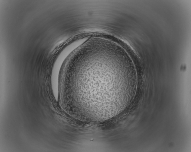 X0000090600967200707311158