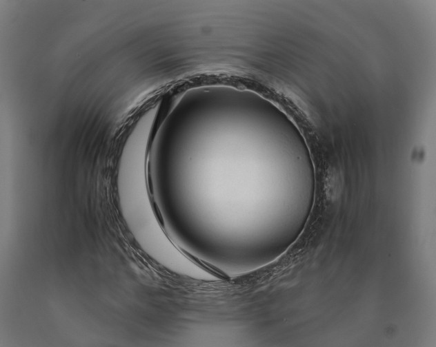 X0000090600968200707311158