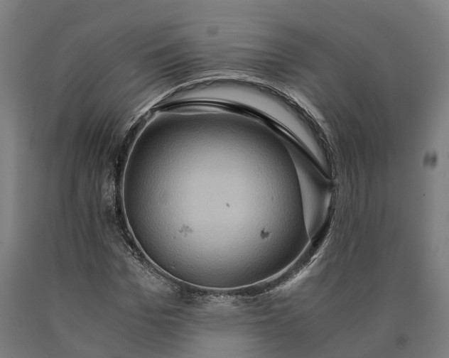 X0000090600969200707311158