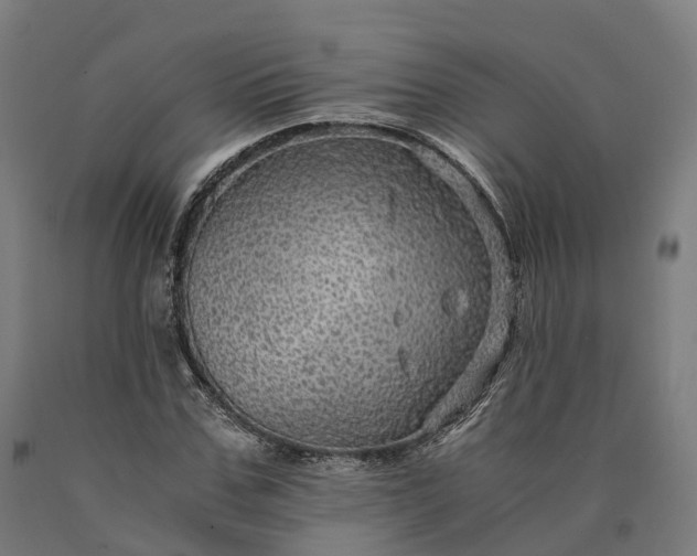 X0000090600971200707311158