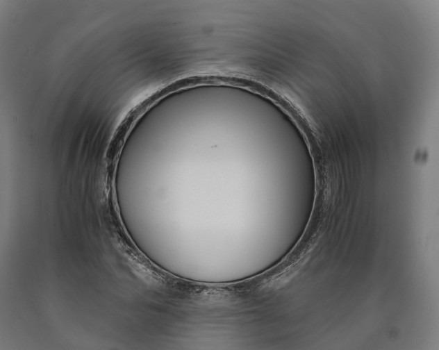 X0000090600974200707311158