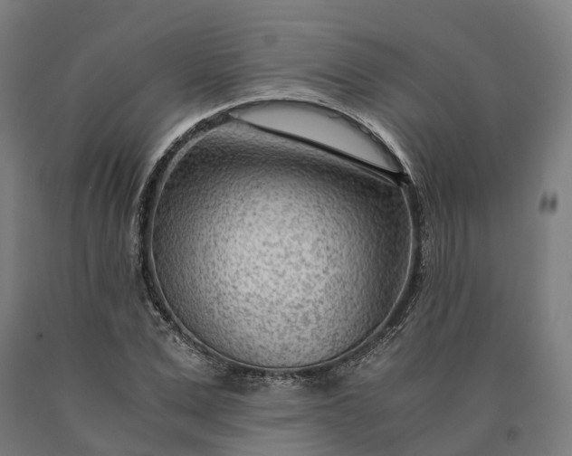 X0000090600975200707311158