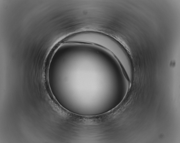 X0000090600976200707311158